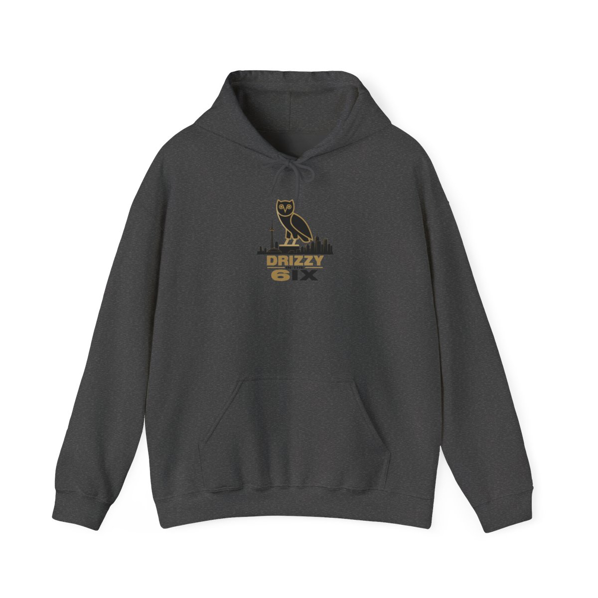 Drake "Drizzy in the 6ix" Hoodie